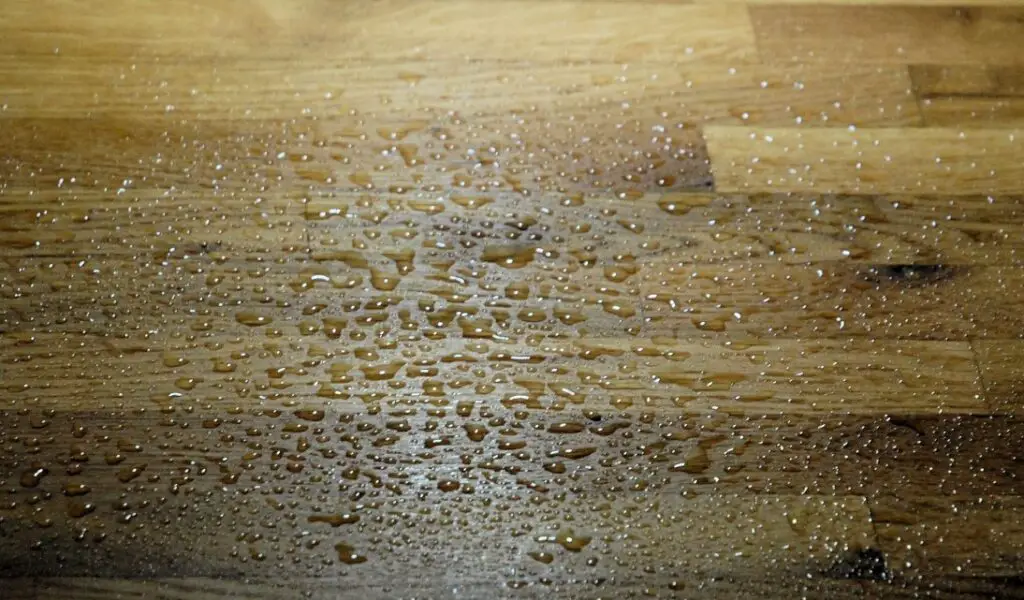 Is Danish oil food safe: Top Expert Answers