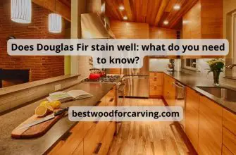 Does Douglas Fir stain well: what do you need to know?