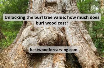 Unlocking the burl tree value how much does burl wood cost