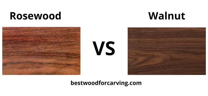 Rosewood Vs Walnut: Best Helpful Guide & Top Review