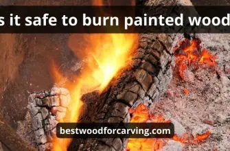 Burn Painted Wood: Best Helpful Guide & Main Safe | Danger