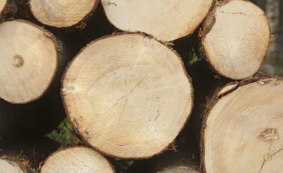 spruce wood uses