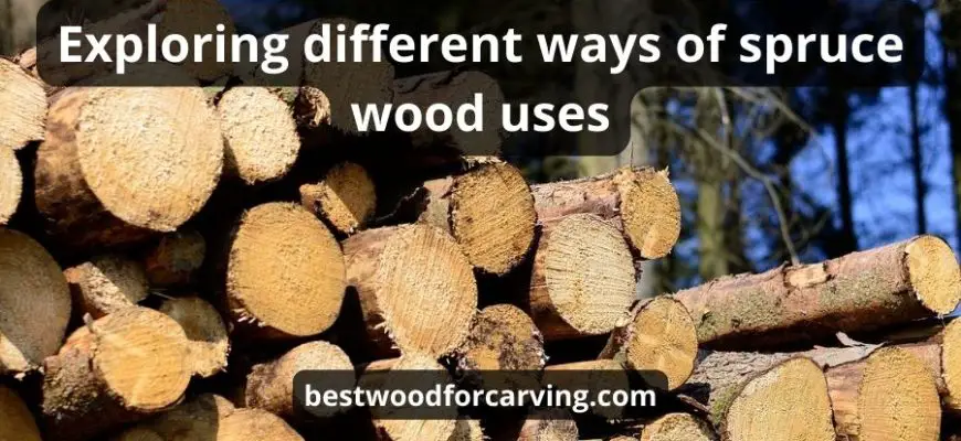 Spruce Wood Uses: Top 7 Variants & Best Interesting Guide