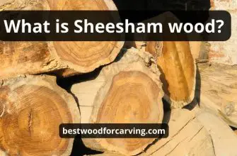 What Is Sheesham Wood: Best Helpful Guide & Benefits