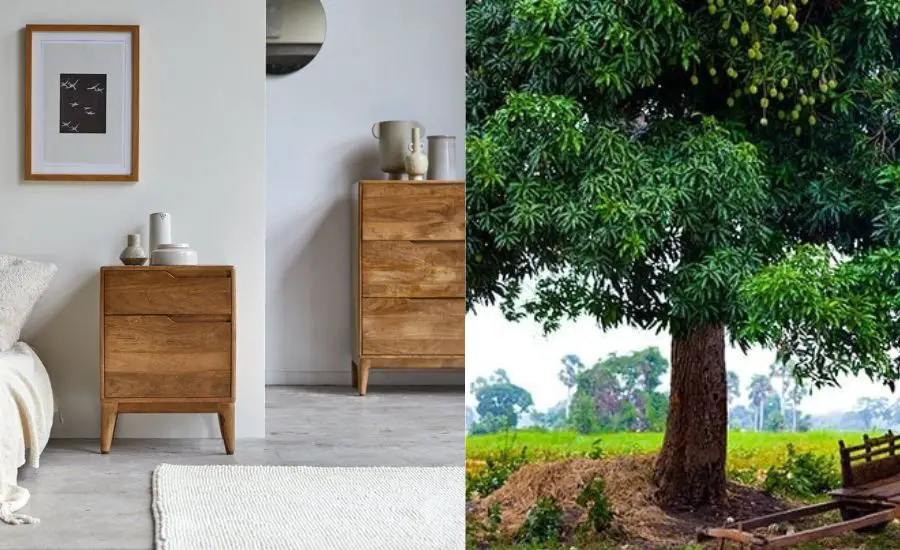 mango wood furniture pros and cons