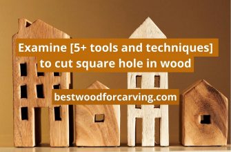 Cut Square Hole In Wood: 5 Best Ways To Do It Perfectly