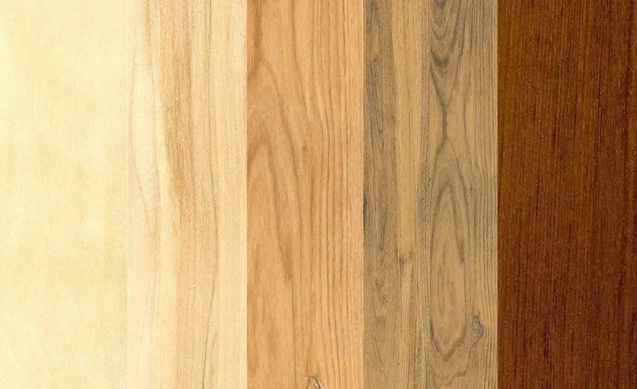 wood 19