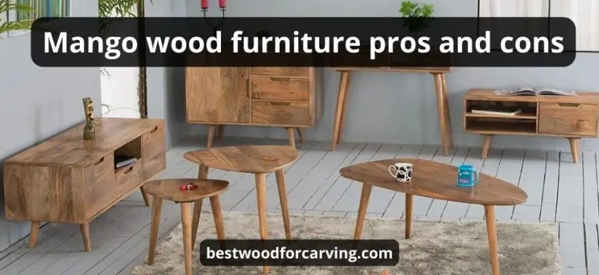 Mango wood furniture pros and cons + 9 tips before you buy