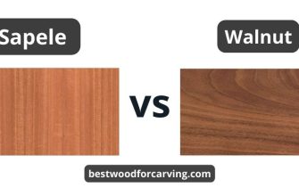 Sapele Vs. Walnut Wood: Top 5 Differences & Best Guide