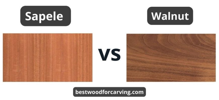 Sapele Vs. Walnut Wood: Top 5 Differences & Best Guide